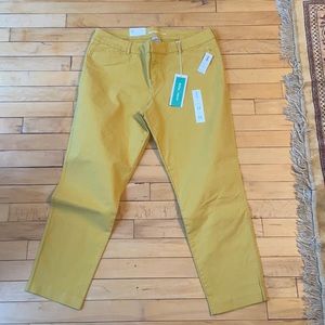 NWT Old Navy Pixie Ankle pant - Mustard